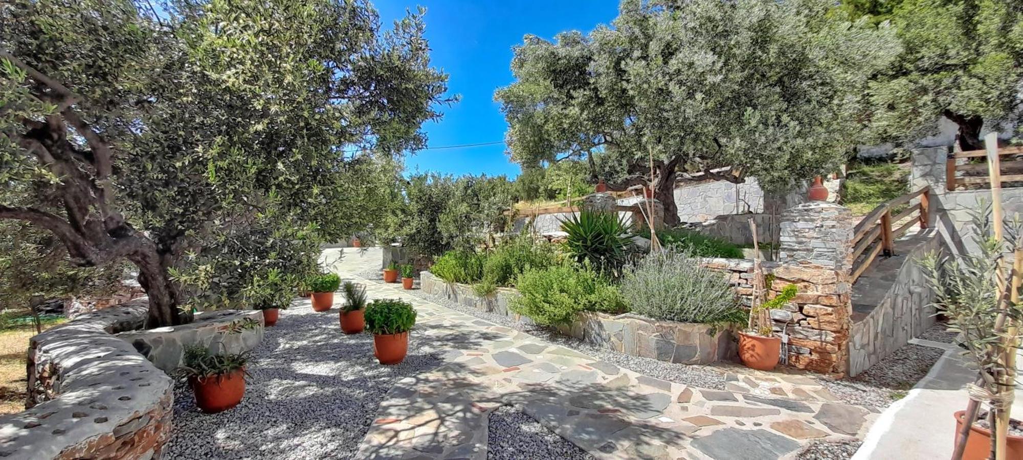 Aspra Chomata Villas Каристос Екстериор снимка