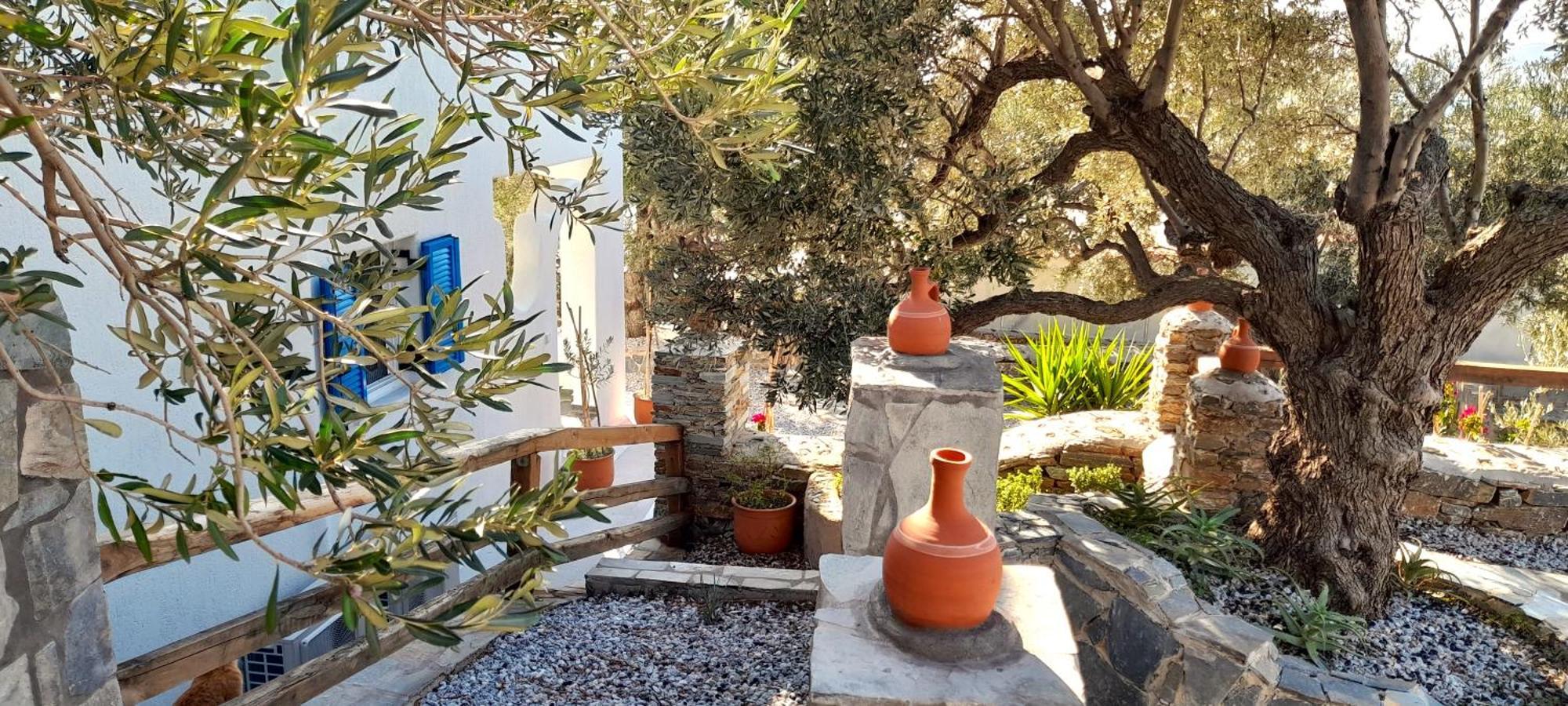 Aspra Chomata Villas Каристос Екстериор снимка