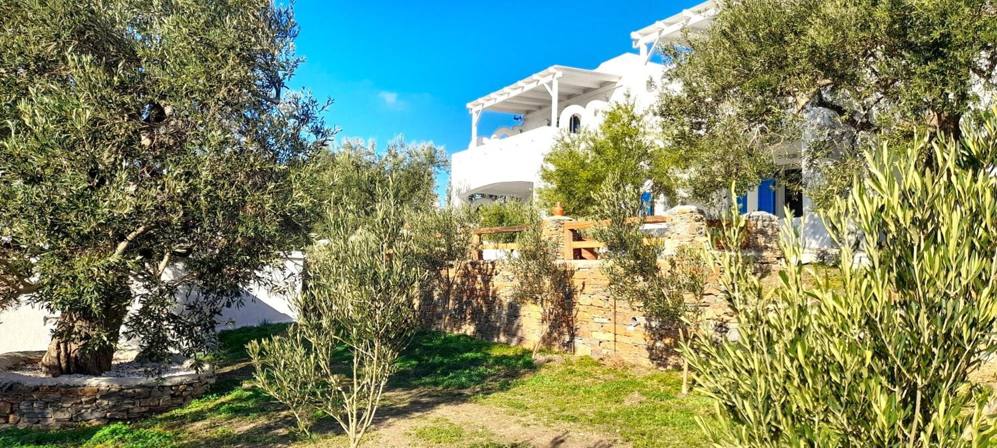 Aspra Chomata Villas Каристос Екстериор снимка