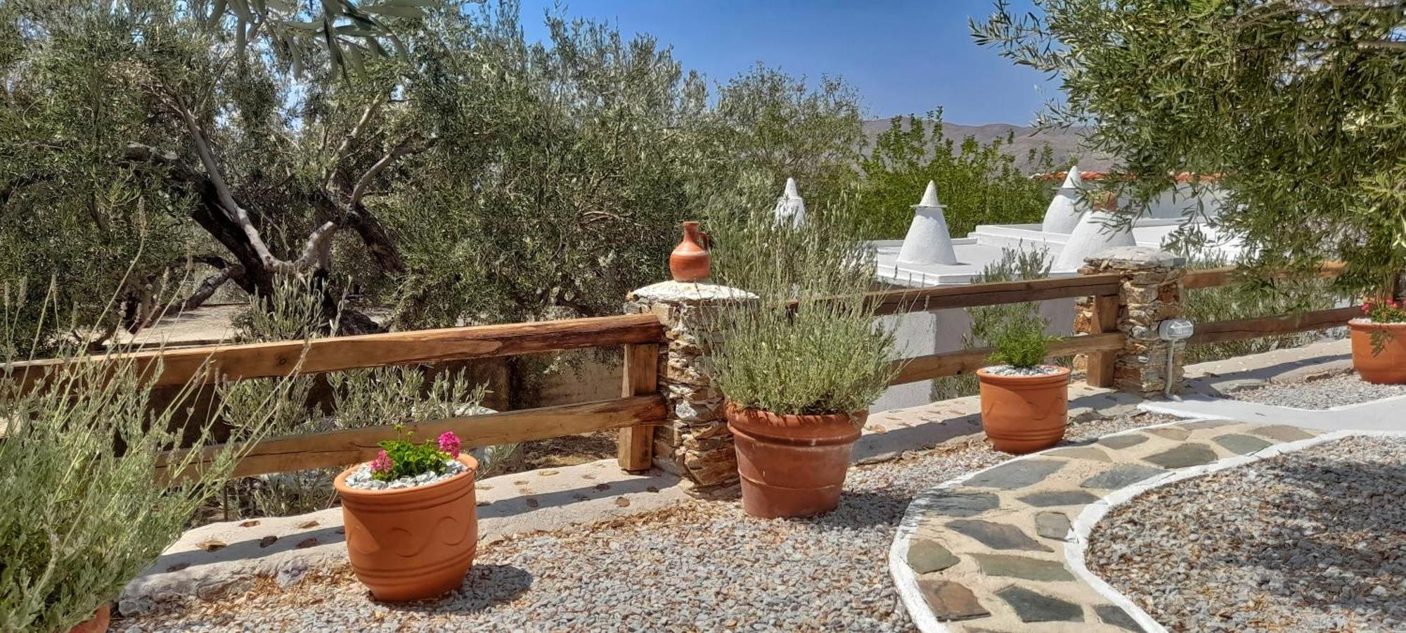 Aspra Chomata Villas Каристос Екстериор снимка